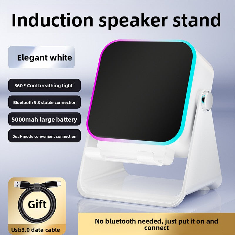 Multifunctional wireless speaker ambient light