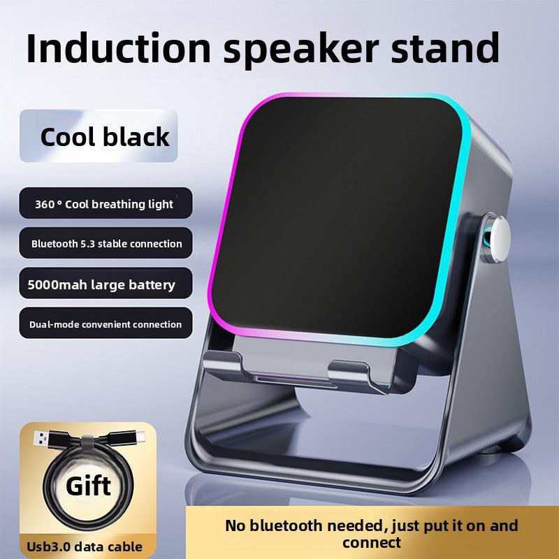 Multifunctional wireless speaker ambient light